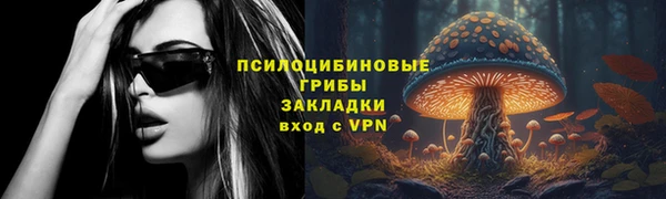 ПСИЛОЦИБИНОВЫЕ ГРИБЫ Белоозёрский