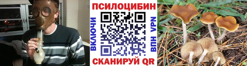 Псилоцибиновые грибы Cubensis  Воркута 