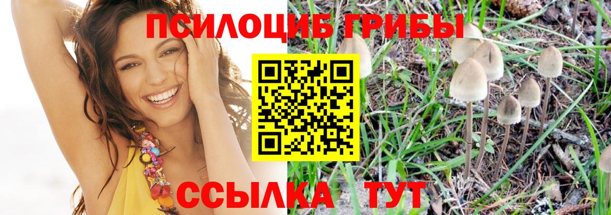 Псилоцибиновые грибы Magic Shrooms  купить наркотик  Вход с VPN  Воркута  Галлюциногенные грибы Cubensis 