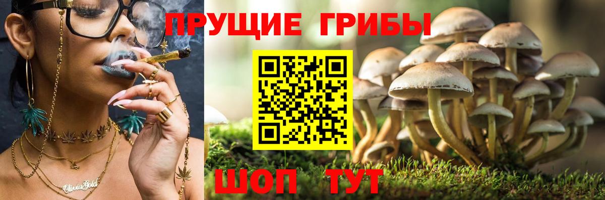 Псилоцибиновые грибы мухоморы Воркута
